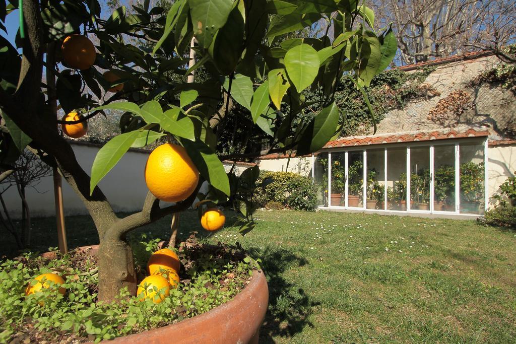 Il Diospero B&B Florenţa Exterior foto